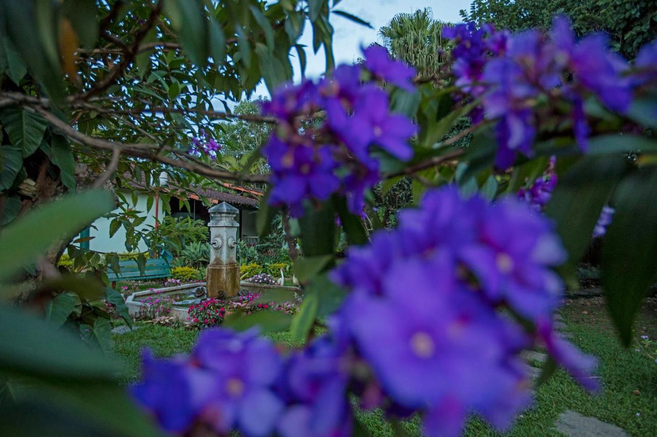 Villa Buonabitacolo São João del Rei Eksteriør bilde