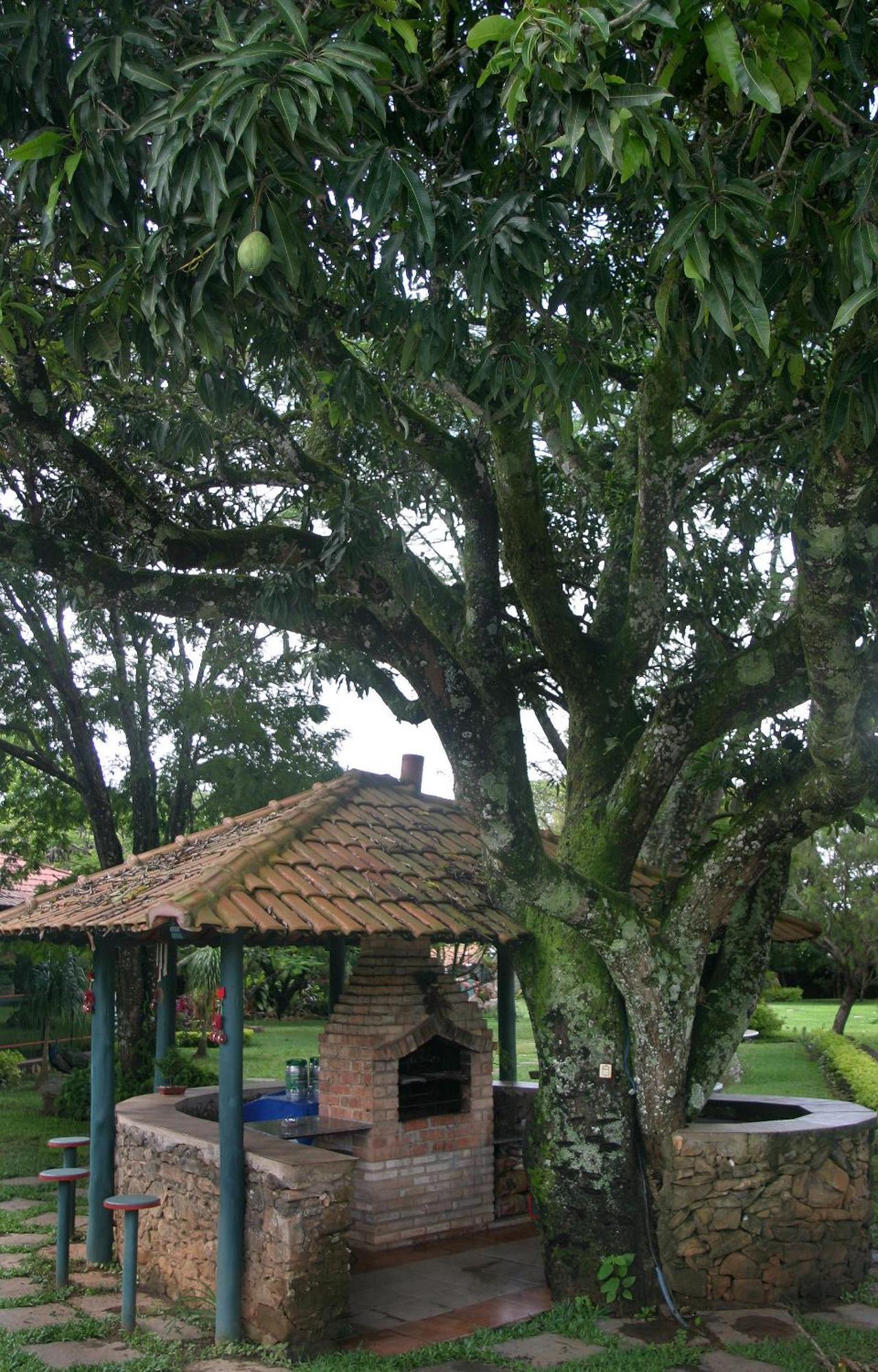 Villa Buonabitacolo São João del Rei Eksteriør bilde